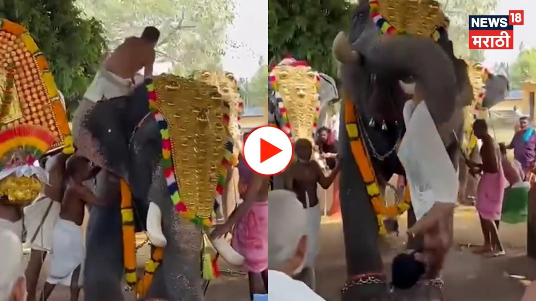 VIDEO: मंदिर उत्सवात हत्ती बिथरला,तरुणाला सोंडेने उचलून जमिनीवर आदळले 
