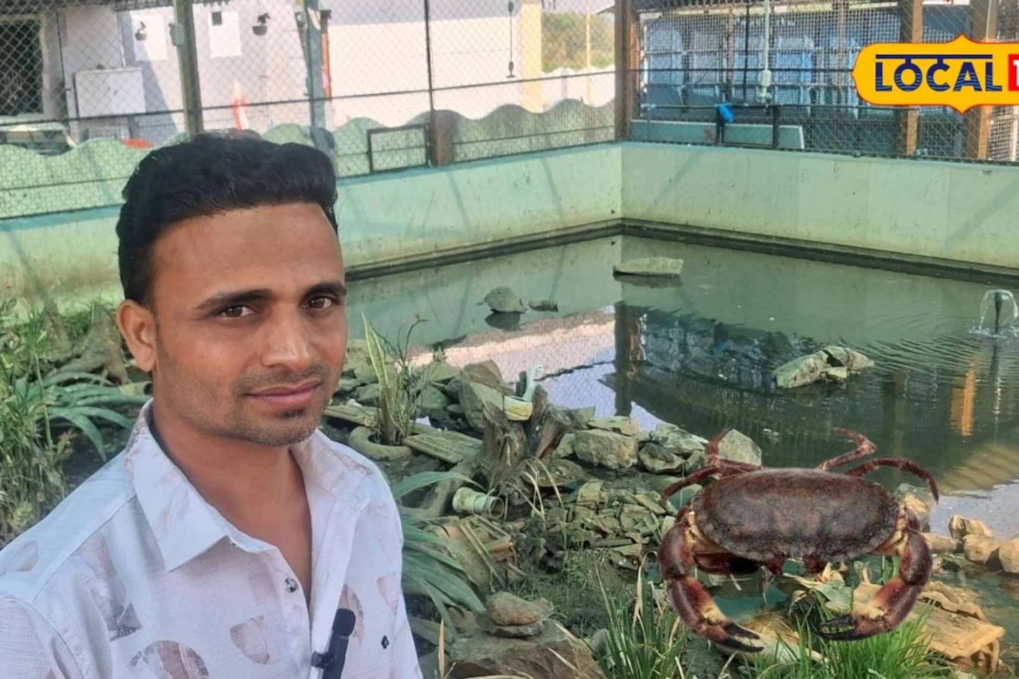 नोकरीचा नाद सोडला, इंजिनिअर तरुणानं लावलं डोकं, खेकडा शेतीतून लाखोंची कमाई, Vide