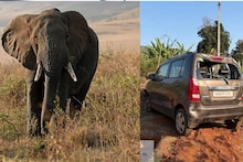 Maruti ची Wagon R हत्तीने उचलून फेकून दिली, कोल्हापुरी हत्ती जोमात, गावकरी कोमात, गावातले PHOTOS