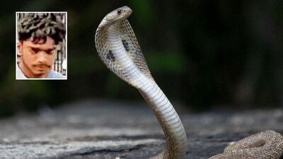 Snakebite Fails to Deter Latur Student: Appears for 10th Exam from Hospital Bed