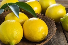 lemon : लिंबू पिळून झाल्यावर साल फेकून देताय? थांबा, सालीचे 'हे' फायदे तुम्हाला माहीत नसतील