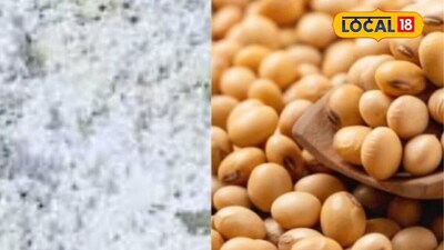 APMC Market: कपाशी, कांद्याचं मार्केट हाललं, सोयाबिन, तुरीचे दर वाढले, कुठं किती मिळाला भाव?