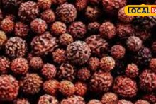 भगवान शिवाशी जोडणारा रुद्राक्ष, कसा करावा खरेदी, काय आहे महत्त्व, Video