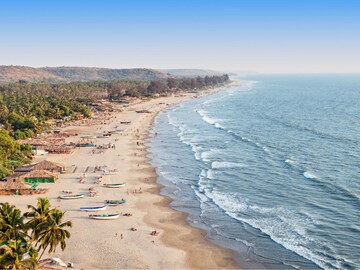 समुद्र किनाऱ्यावरच्या 'या' वस्तू अजिबात घरी आणू नये, नकळत तुम्ही करताय नुकसान!