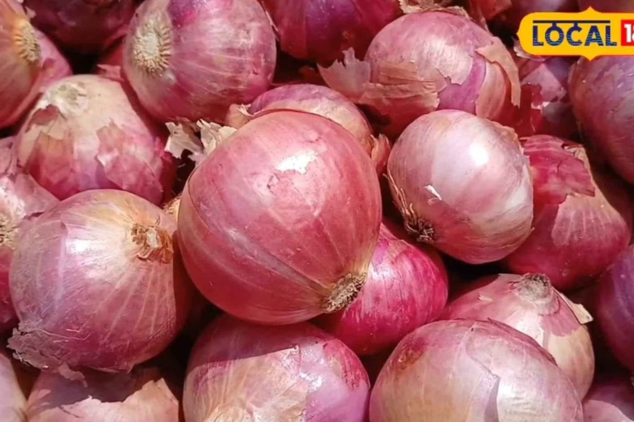 सोलापूर कांदा मार्केटमधून मोठं अपडेट, आवक घटली, क्विंटलला किती मिळाला भाव?