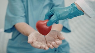 प्रतिकात्मक फोटो