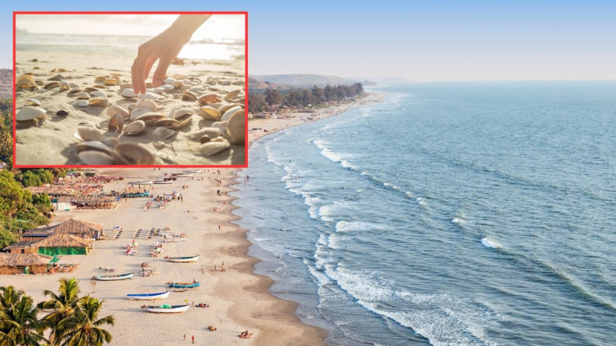 Beach Trip Tips : समुद्र किनाऱ्यावरच्या 'या' वस्तू अजिबात घरी आणू नये, नकळत तुम्ही करताय नुकसान! पाहा कारणं