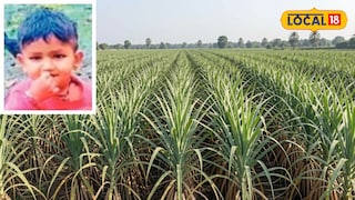 कुत्र्याच्या हल्ल्यातत मृत्यू 