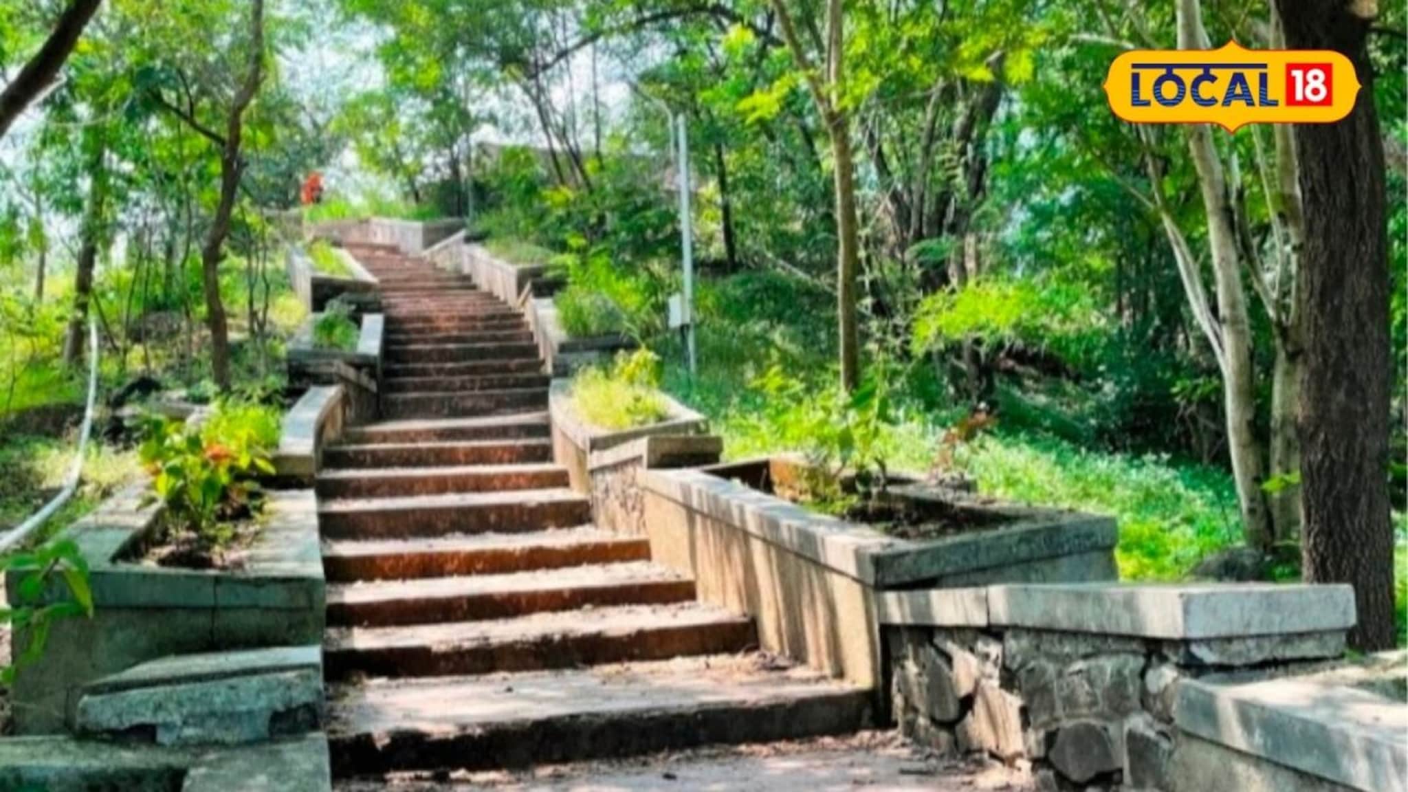 पिंपरी-चिंचवडकर आता मोकळा श्वास घ्या! 85 एकरात होतोय ‘ऑक्सिजन पार्क’, नेमका प्लॅन काय?