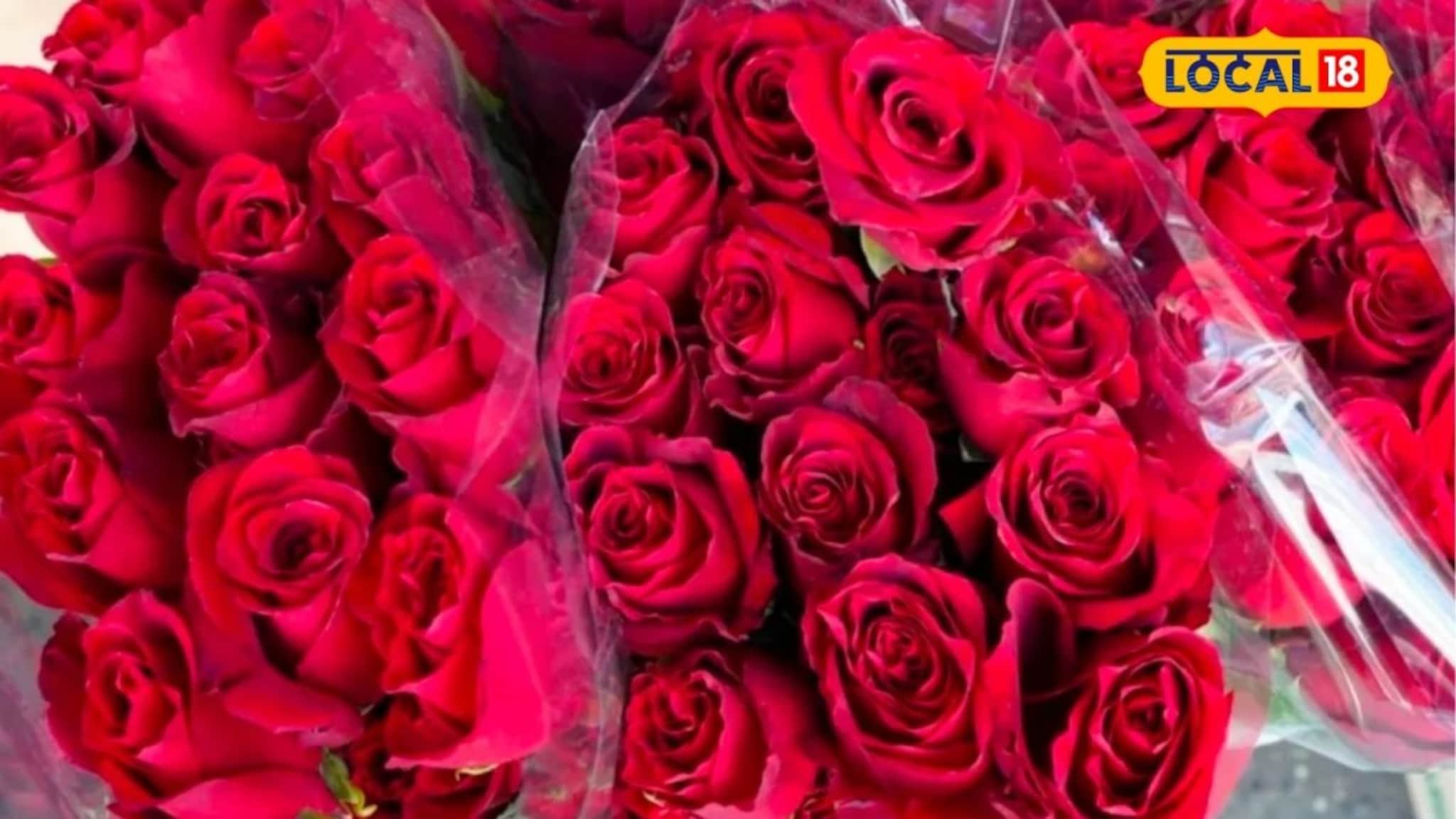 Valentines Day ला खिशाला कात्री, गुलाबाला सोन्याचं मोल, किती मोजावे लागणार? Vide