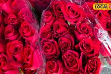 Valentines Day ला खिशाला कात्री, गुलाबाला सोन्याचं मोल, किती मोजावे लागणार? Video
