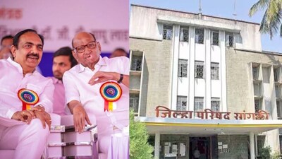 सांगली में शरद पवार गुट का चमत्कार, ZP और पंचायत समिति चुनावों में दबदबा