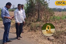 आई अंबाबाईचा हाच संस्कार! लेकीचं लग्न तोंडावर अन् पुजाऱ्याला सापडलं सोनं, पाहा काय केलं? Video