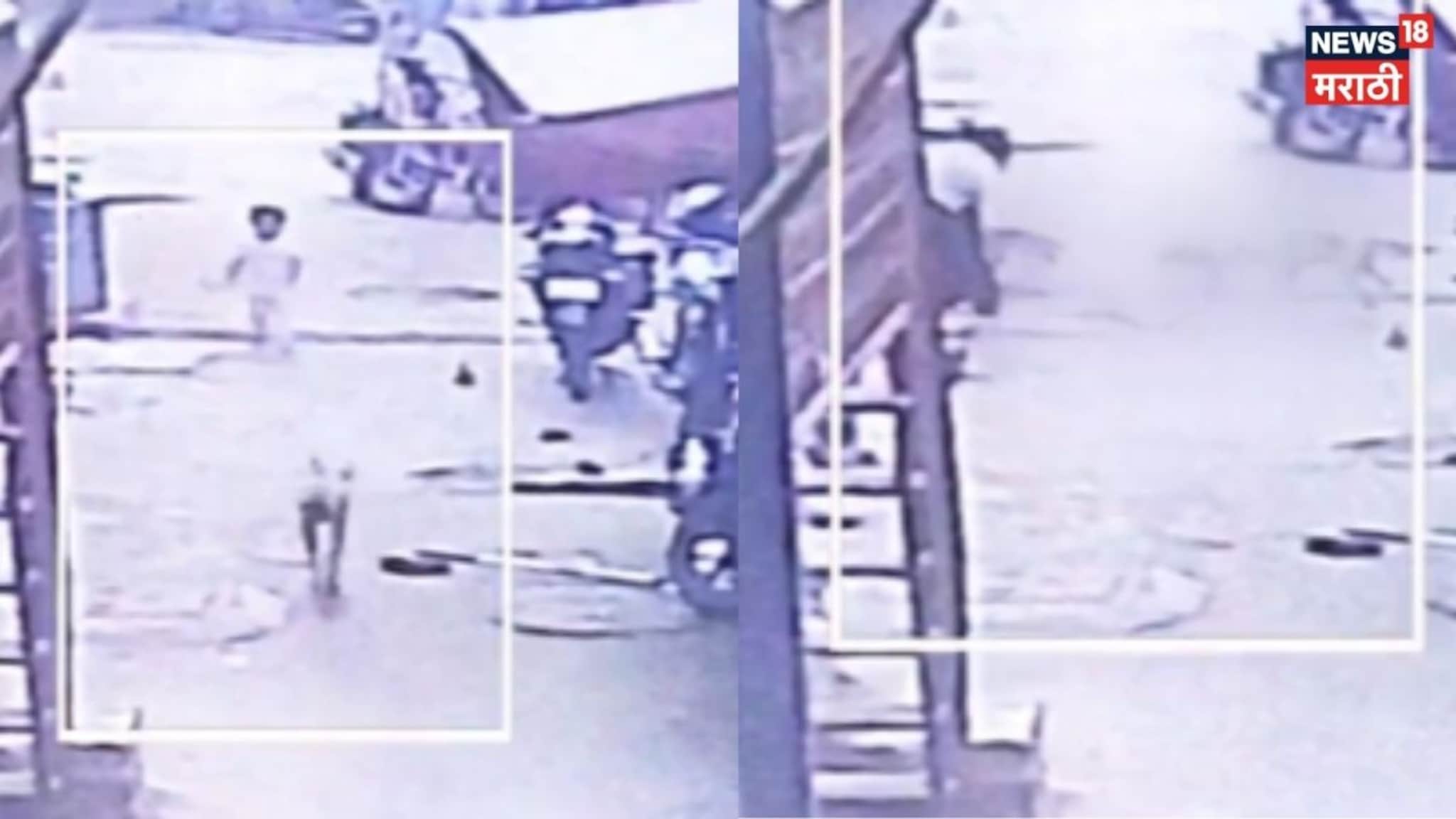 Video: पिसाळलेल्या कुत्र्याचा दोन वर्षाच्या चिमुकलीवर हल्ला, मुलगी गंभीर जखमी