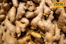 APMC Market: आल्याचे भाव तेजीत, डाळींब आणि केळीला काय मिळाला भाव? इथं चेक करा