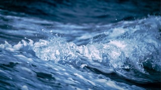 प्रतिकात्मक फोटो