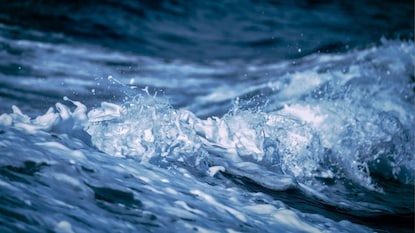 प्रतिकात्मक फोटो प्रतिकात्मक फोटो