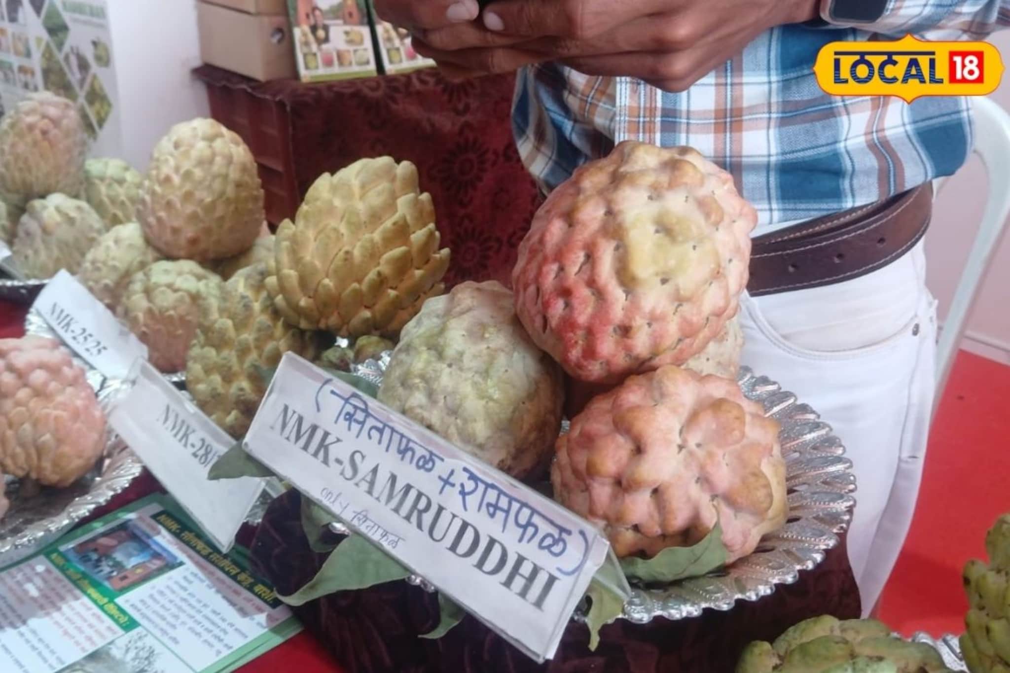 रामफळ+सिताफळ! आधीपेक्षा गोड, चव तीच! आलंय नवीन वाण