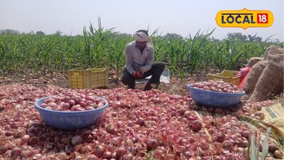 प्याज की कीमतों में भारी गिरावट: सोलापुर के किसान आर्थिक संकट में, एमएसपी की मांग.