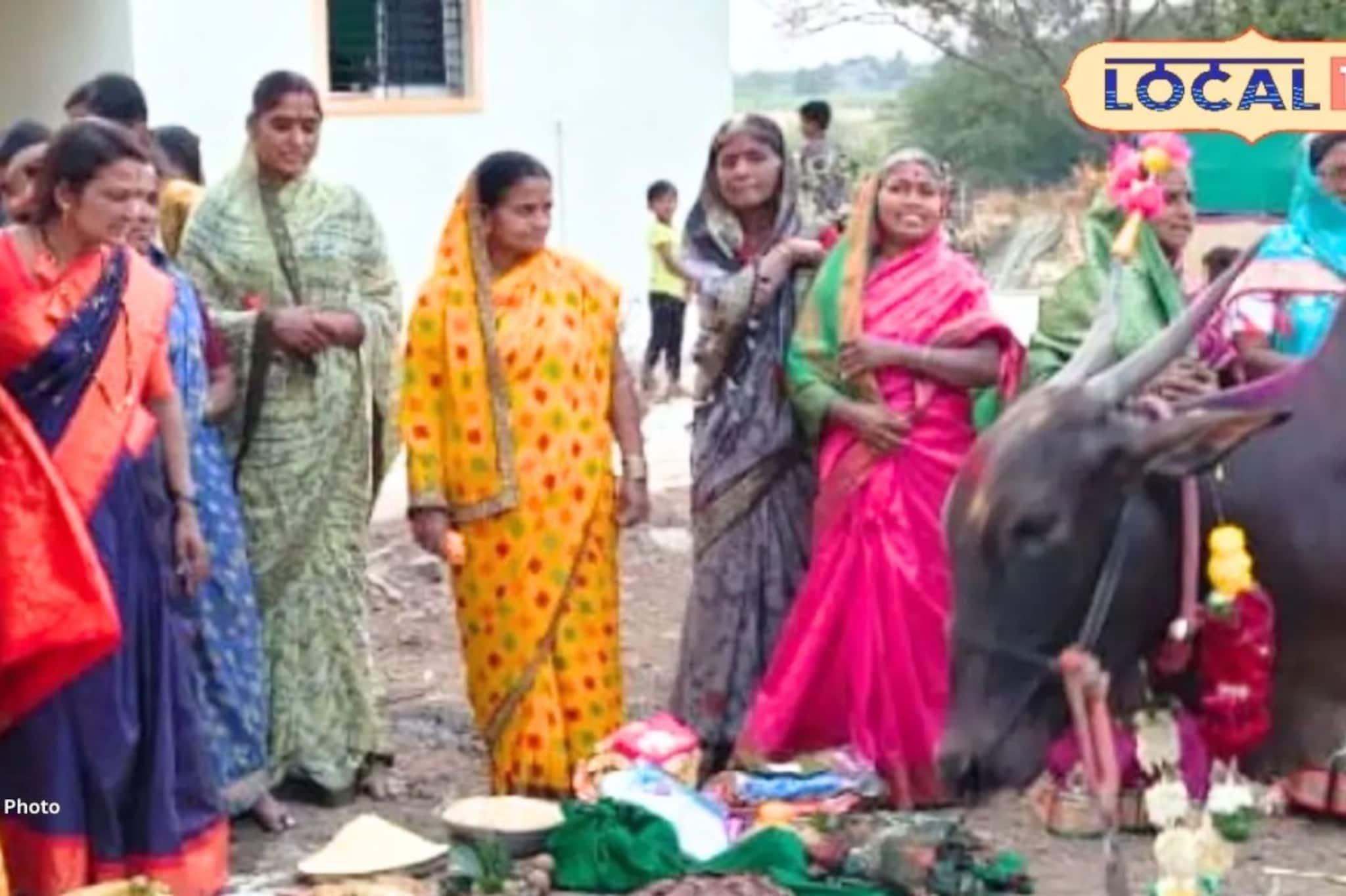 शेतकऱ्यानं महाराष्ट्राचं मन जिंकलं! ‘मयुरी’चं डोहाळे जेवण असं केलं, की सगळीकडे.. शेतकऱ्यानं महाराष्ट्राचं मन जिंकलं! ‘मयुरी’चं डोहाळे जेवण असं केलं, की सगळीकडे..