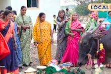 शेतकरी कुटुंबानं महाराष्ट्राचं मन जिंकलं! ‘मयुरी’चं डोहाळे जेवण असं केलं, की सगळीकडे चर्चा, Video