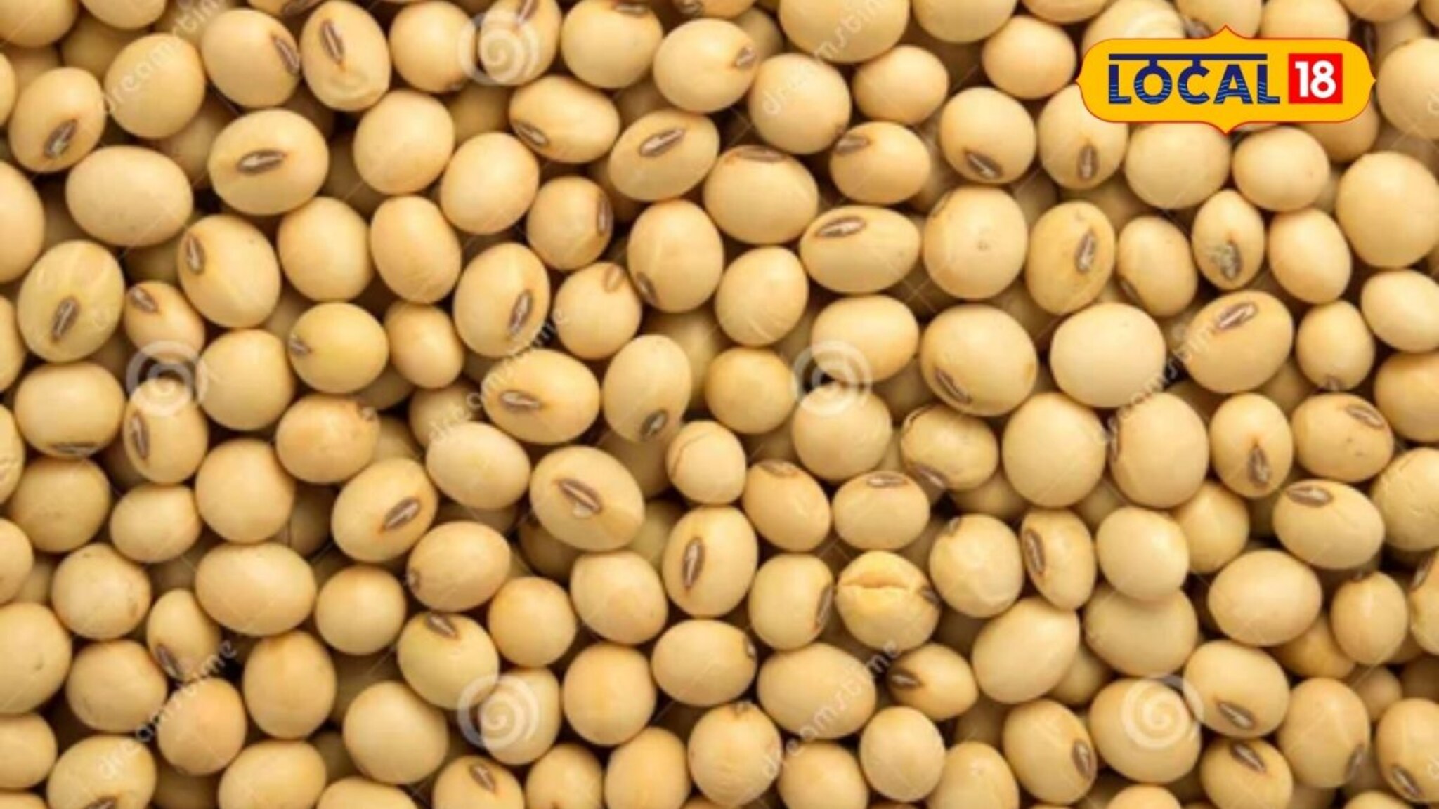 Soyabean Rate : सोयाबीनच्या दरात वाढ, तूर भाव घसरले, कापसाची काय स्थिती? Video