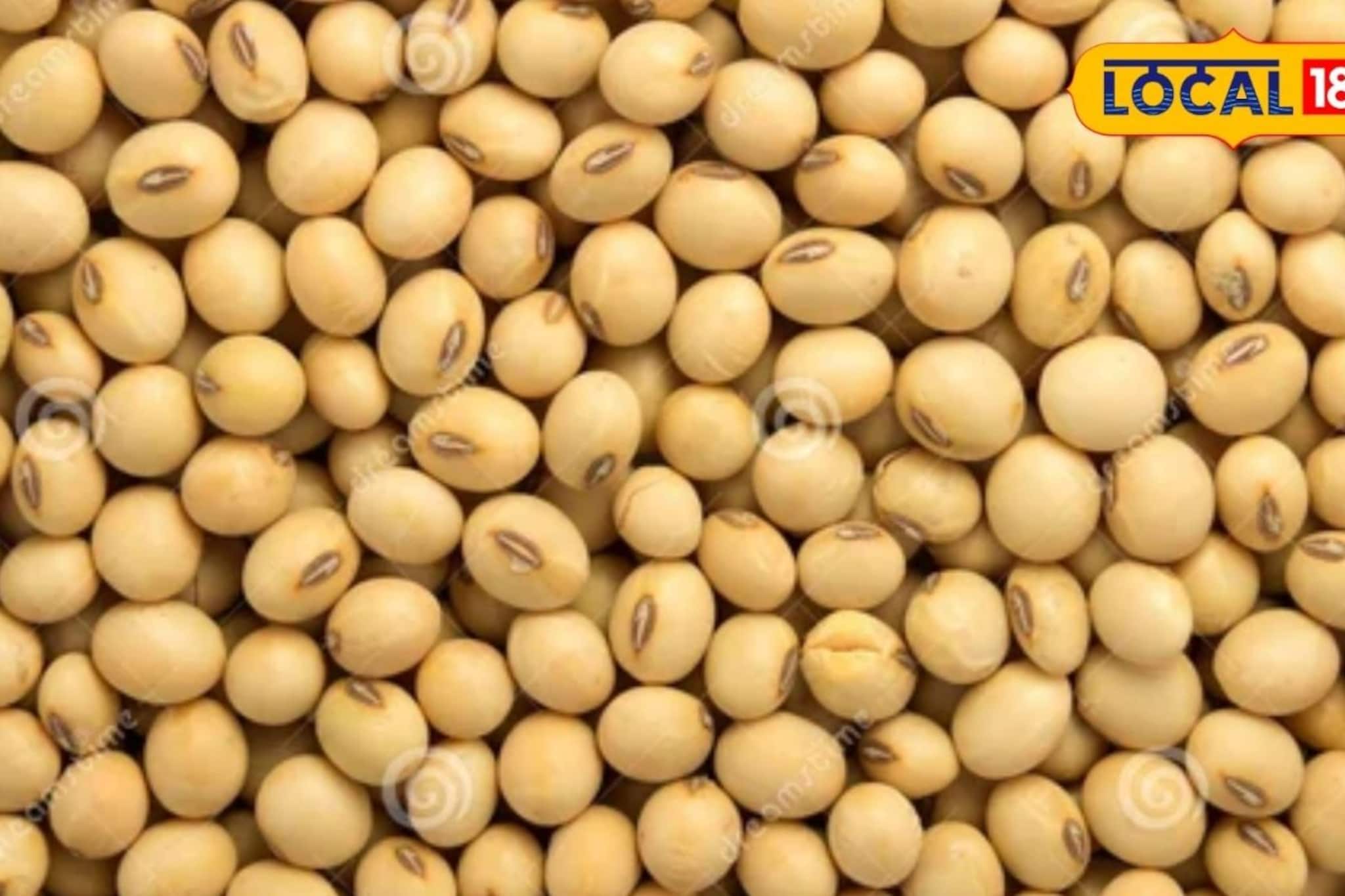 सोयाबीनच्या दरात तेजी, तुरीने ओलांडला 9 हजाराचा टप्पा, कापसाला काय मिळाला भाव?