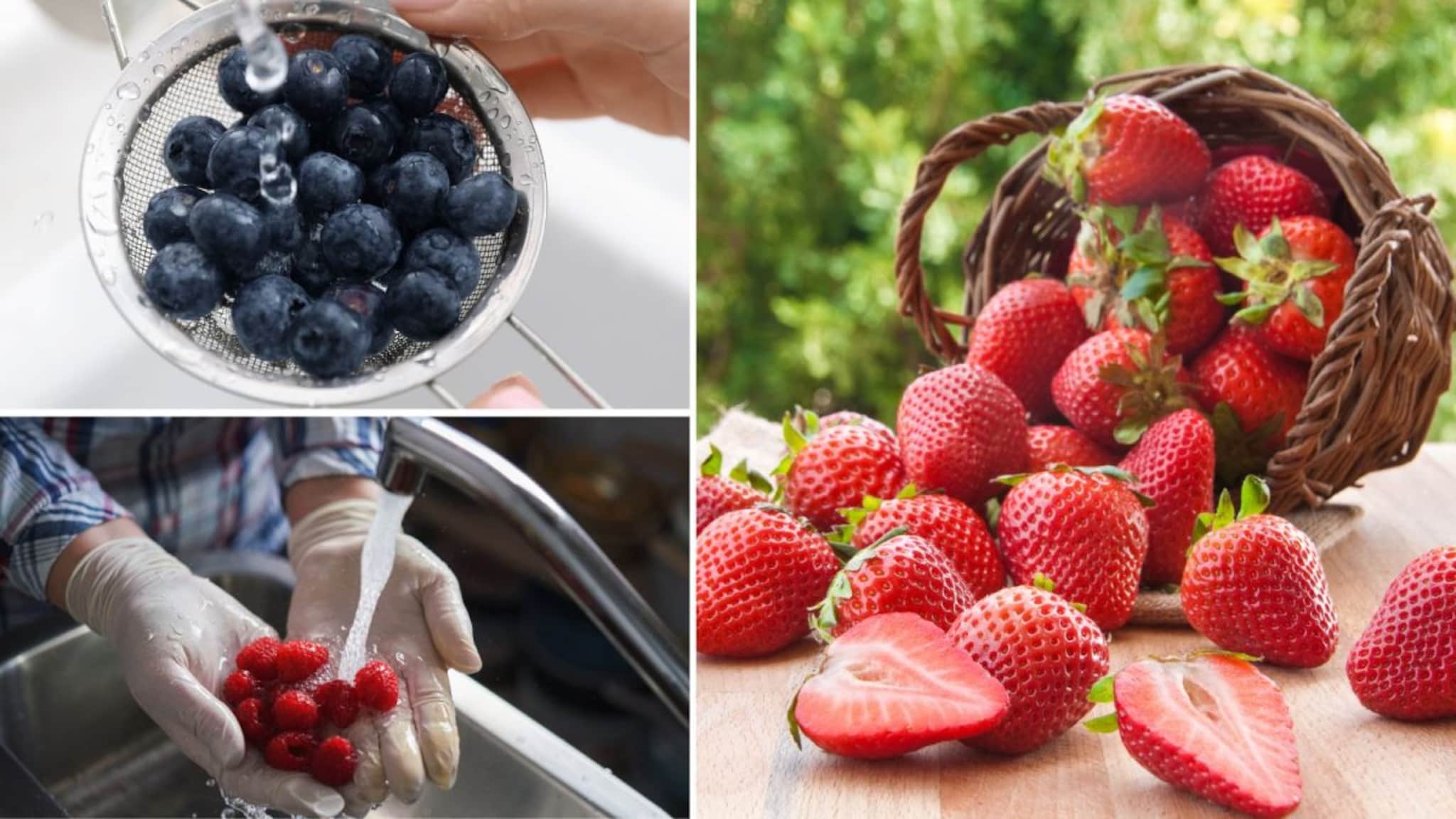 Cleaning Fruits : तुम्हाला माहितीये? स्ट्रॉबेरीवर वापरतात सर्वात जास्त कीटकनाशक! तज्ज्ञांनी सांगितले क्लीनिंग हॅक..