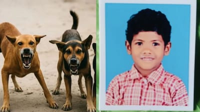 कल्याण में आवारा कुत्तों का आतंक: 7 साल के बच्चे की मौत, कुछ दिन पहले युवक ने की थी आत्महत्या.