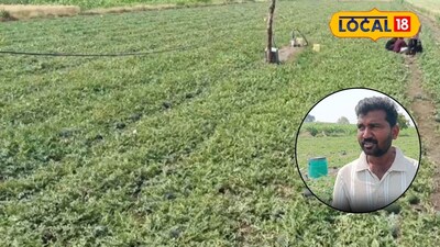 राजेश राठौड़ ने तरबूज की खेती से कमाए लाखों, पारंपरिक फसलों को छोड़कर किया सफल प्रयोग.