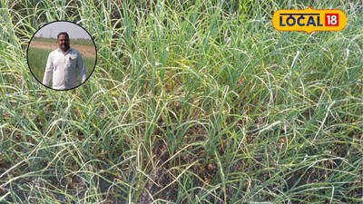 किसान का लहसुन प्रयोग: 10 गुंठे में 1.5 लाख का मुनाफा, अन्य किसानों के लिए प्रेरणा.