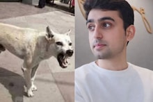 30 वर्षांच्या आयशला पाण्याची भीती वाटत होती,  कुत्रा चावल्यामुळे मेंदूवर परिणाम होतो का?