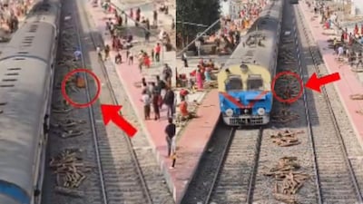 व्हायरल व्हिडीओ