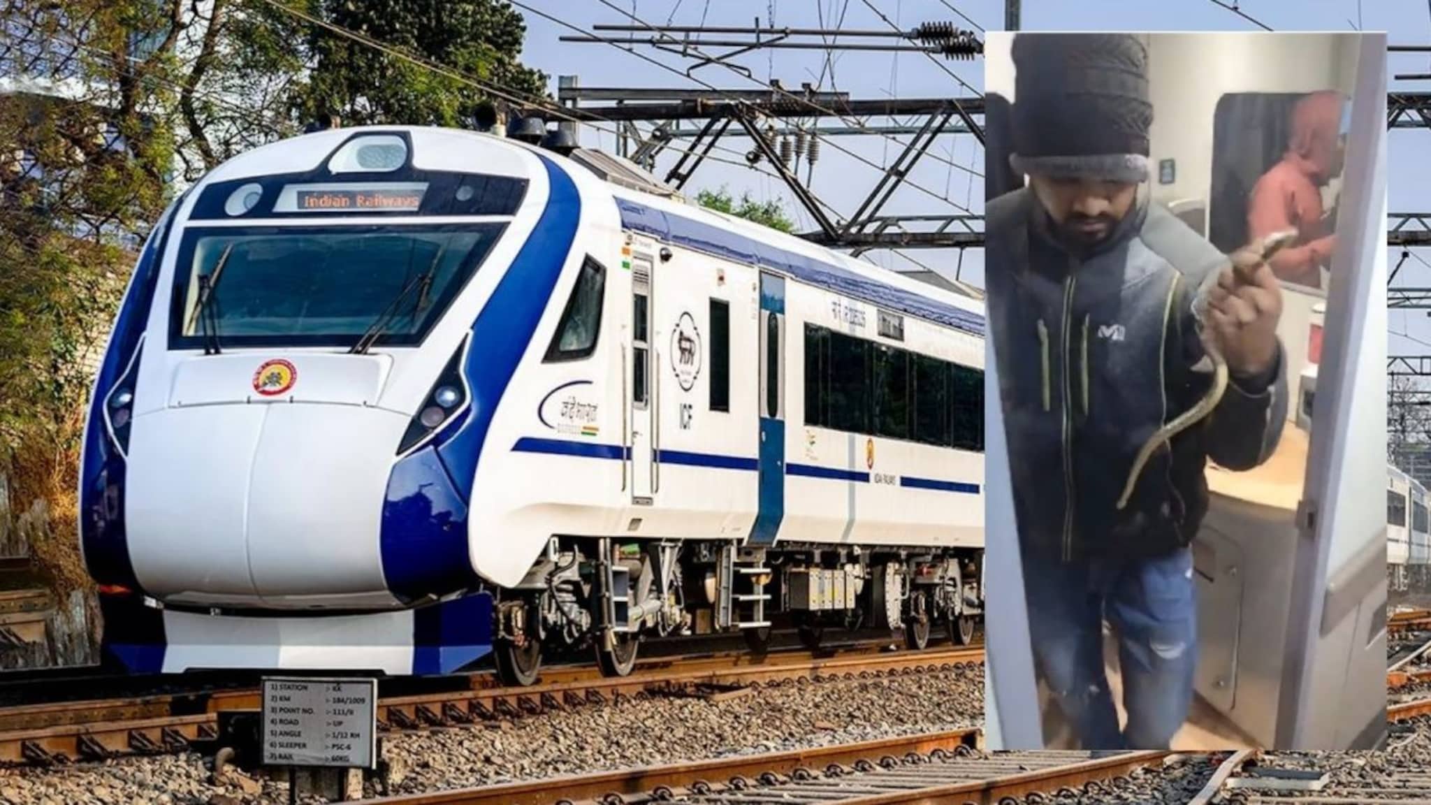 वंदे भारत एक्स्प्रेसमध्ये सोडला साप, मुंब्य्राच्या तरुणाचा प्रताप, VIDEO व्हायरल