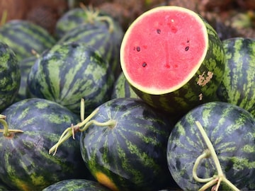 Watermelon : पट्टेरी की गडद हिरवं... दोघांपैकी कोणता आहे खरा कलिंगड Watermelon : पट्टेरी की गडद हिरवं... दोघांपैकी कोणता आहे खरा कलिंगड