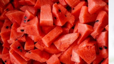 प्रतिकात्मक फोटो