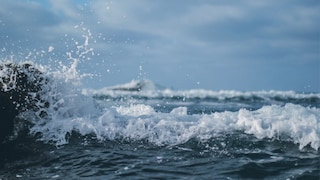 प्रतिकात्मक फोटो