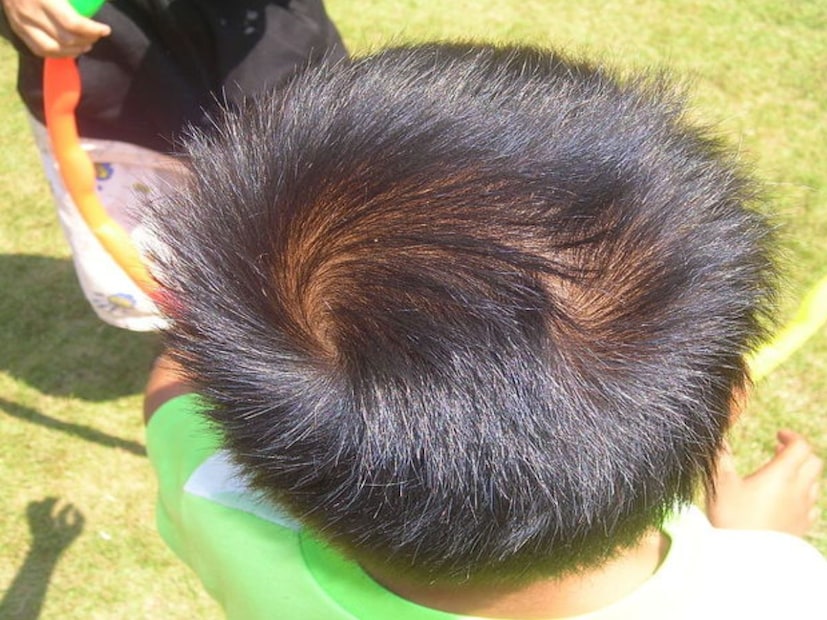 आपण अनेकदा एक वाक्य ऐकलं असेल, आपण अनेकदा एक वाक्य ऐकलं असेल,