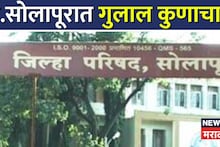 Solapur ZP Election Results: पृथ्वीराज मानेंना किती मतं? उत्तर सोलापुरात तीन गटात कोण जिंकलं?