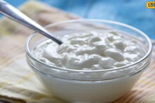 Kitchen Tips : उन्हाळ्यात दही खूप आंबट होतंय? 'या' टिप्स फॉलो करा, आठवडाभर राहील फ्रेश आणि चवदार!