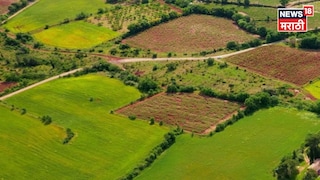 Agriculture News Agriculture News