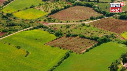 Agriculture News Agriculture News