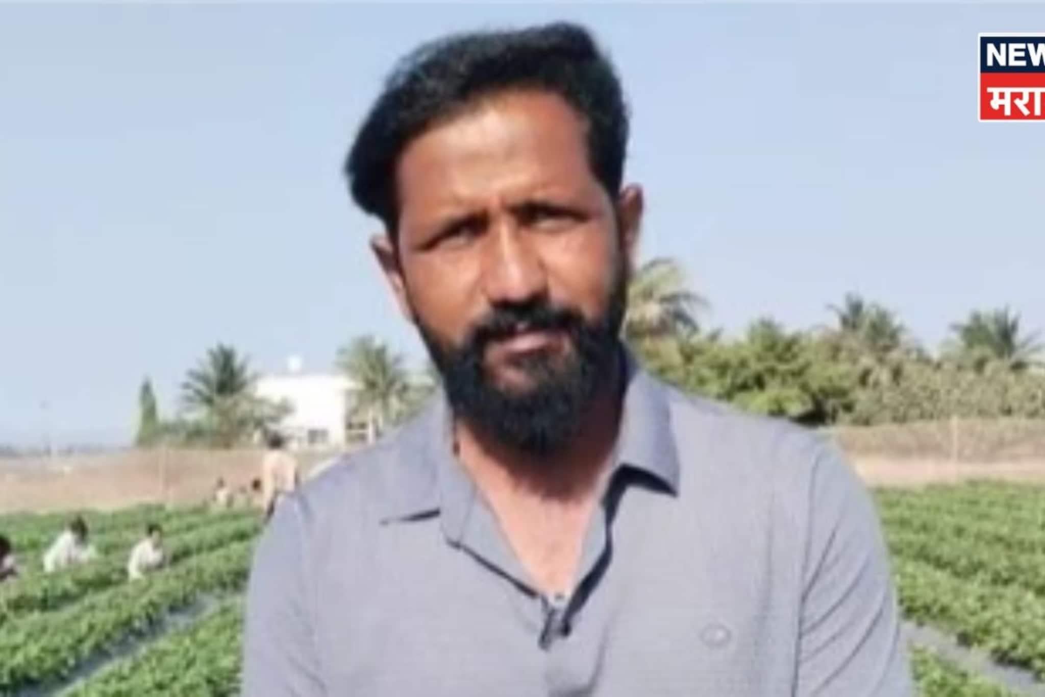 बारामतीचा दीपक झाला मालामाल! फक्त १० गुंठ्यात लागवड, ९ लाखांची केली कमाई बारामतीचा दीपक झाला मालामाल! फक्त १० गुंठ्यात लागवड, ९ लाखांची केली कमाई