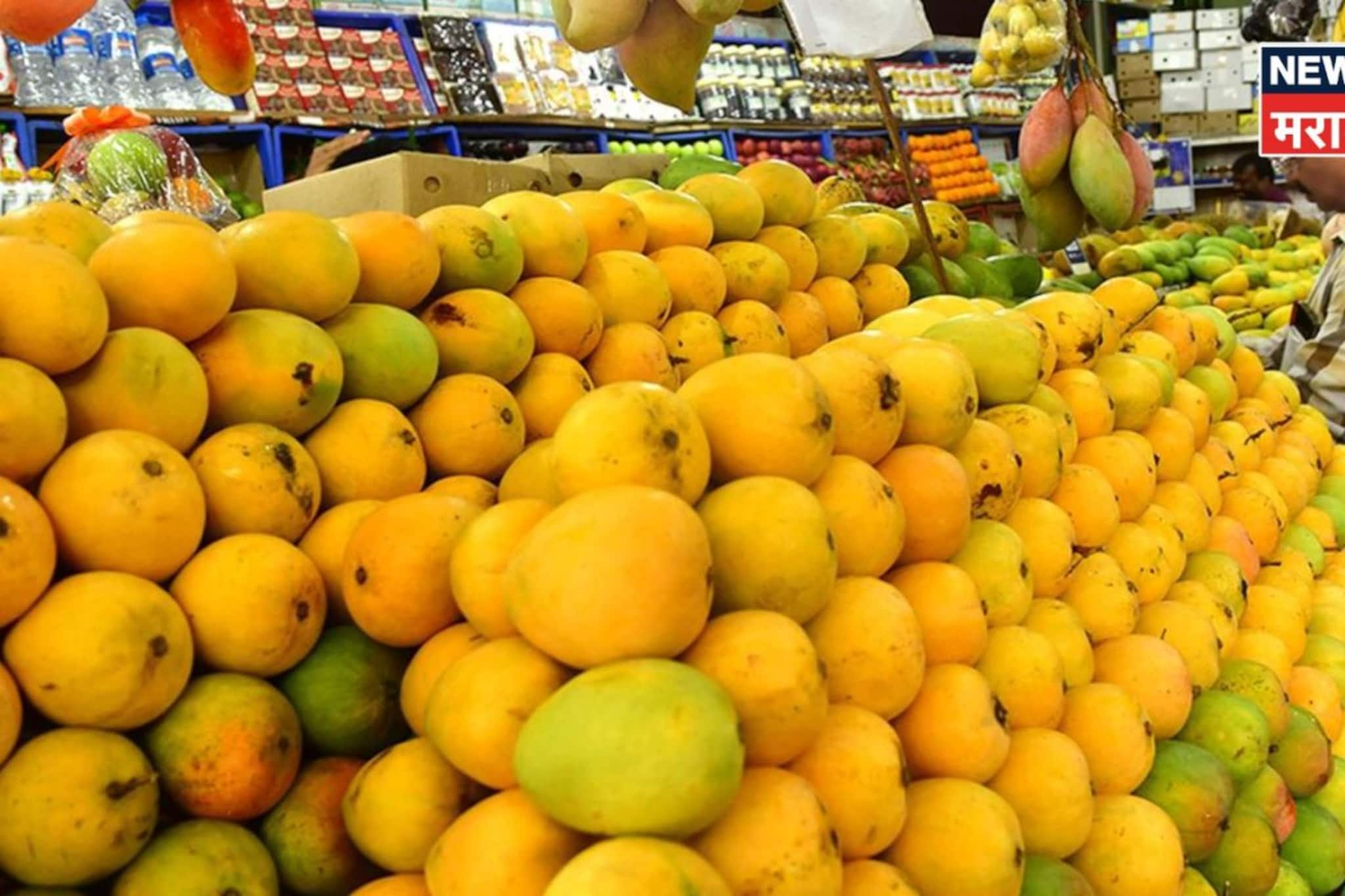 १५ मार्चपर्यंत युद्ध थांबलं नाहीतर हापूस आंबा निर्यातीला बसणार फटका!