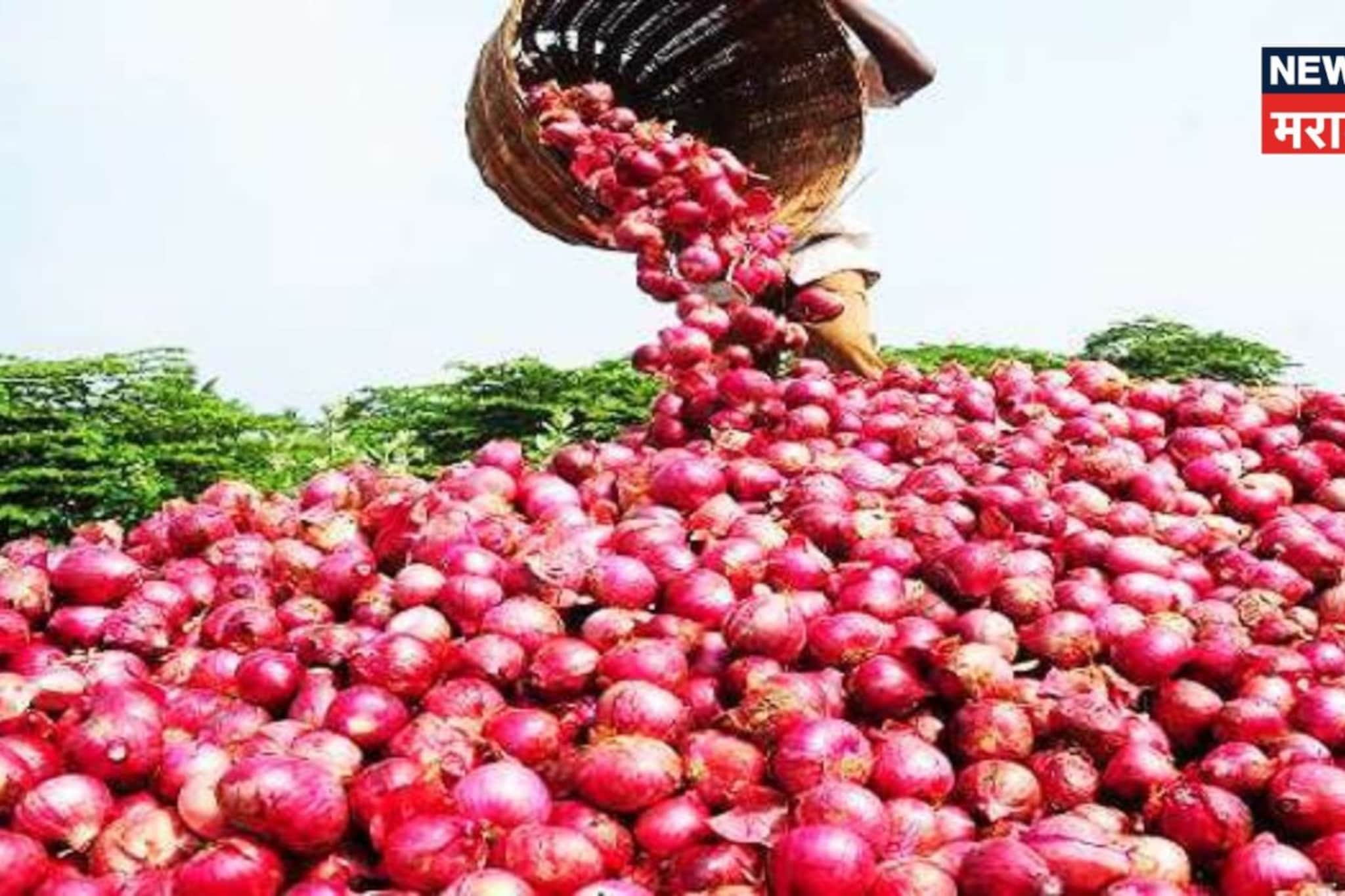 कांद्याचे दर घसरल्यामुळे शेतकऱ्यांच्या डोळ्यांत पाणी, सरकारने घेतला मोठा निर्णय