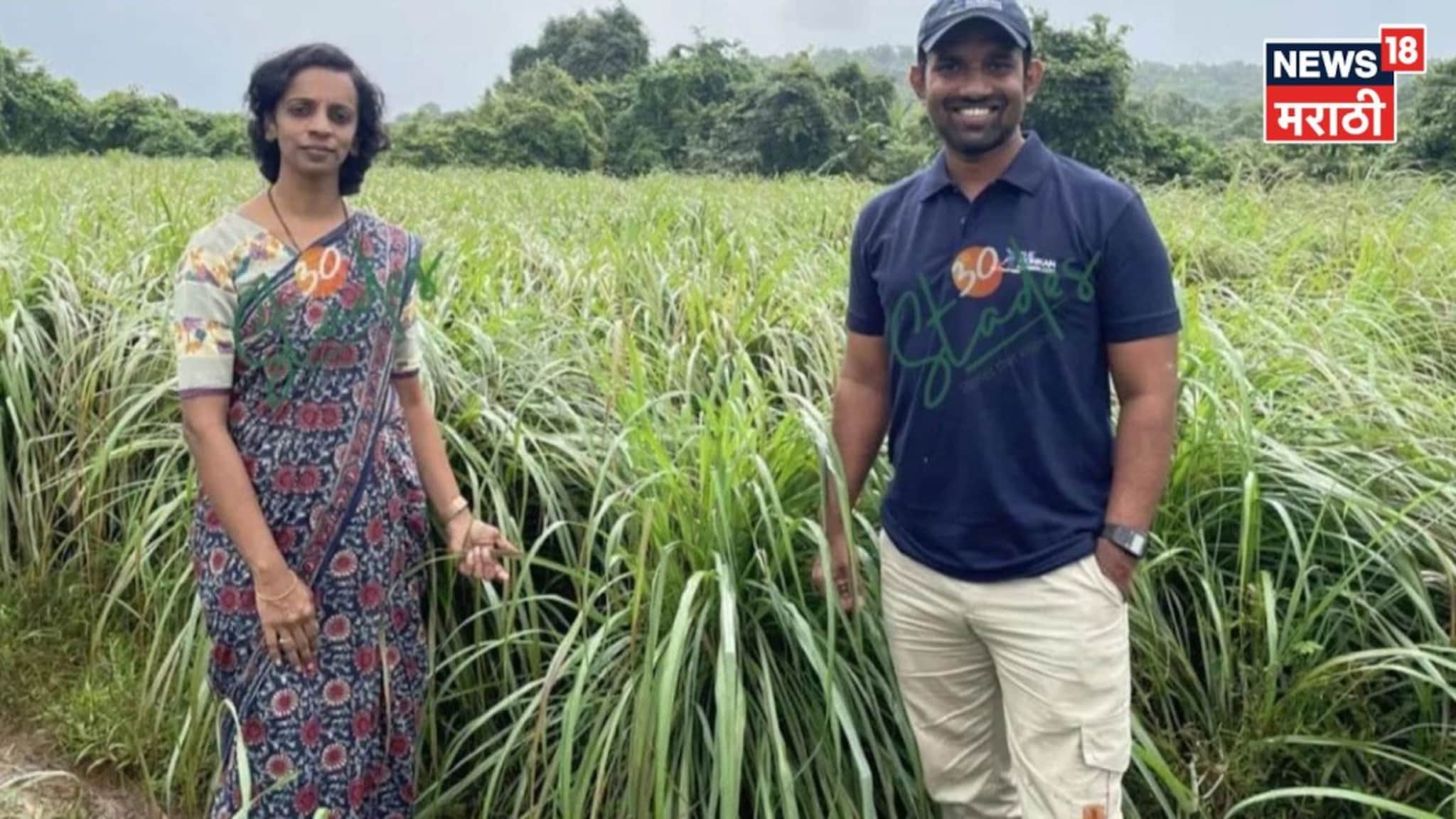 नवरा-बायकोनं IT ची नोकरी सोडली! थेट गाव गाठलं, आता या शेतीतून करताय 30,00,000 ची कमाई
