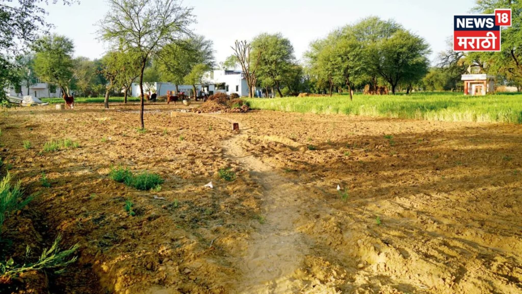 महसूल विभागाकडून मोठा दिलासा! या लोकांच्या जमिनी 'वर्ग २' मधून 'वर्ग १' होणार महसूल विभागाकडून मोठा दिलासा! या लोकांच्या जमिनी 'वर्ग २' मधून 'वर्ग १' होणार