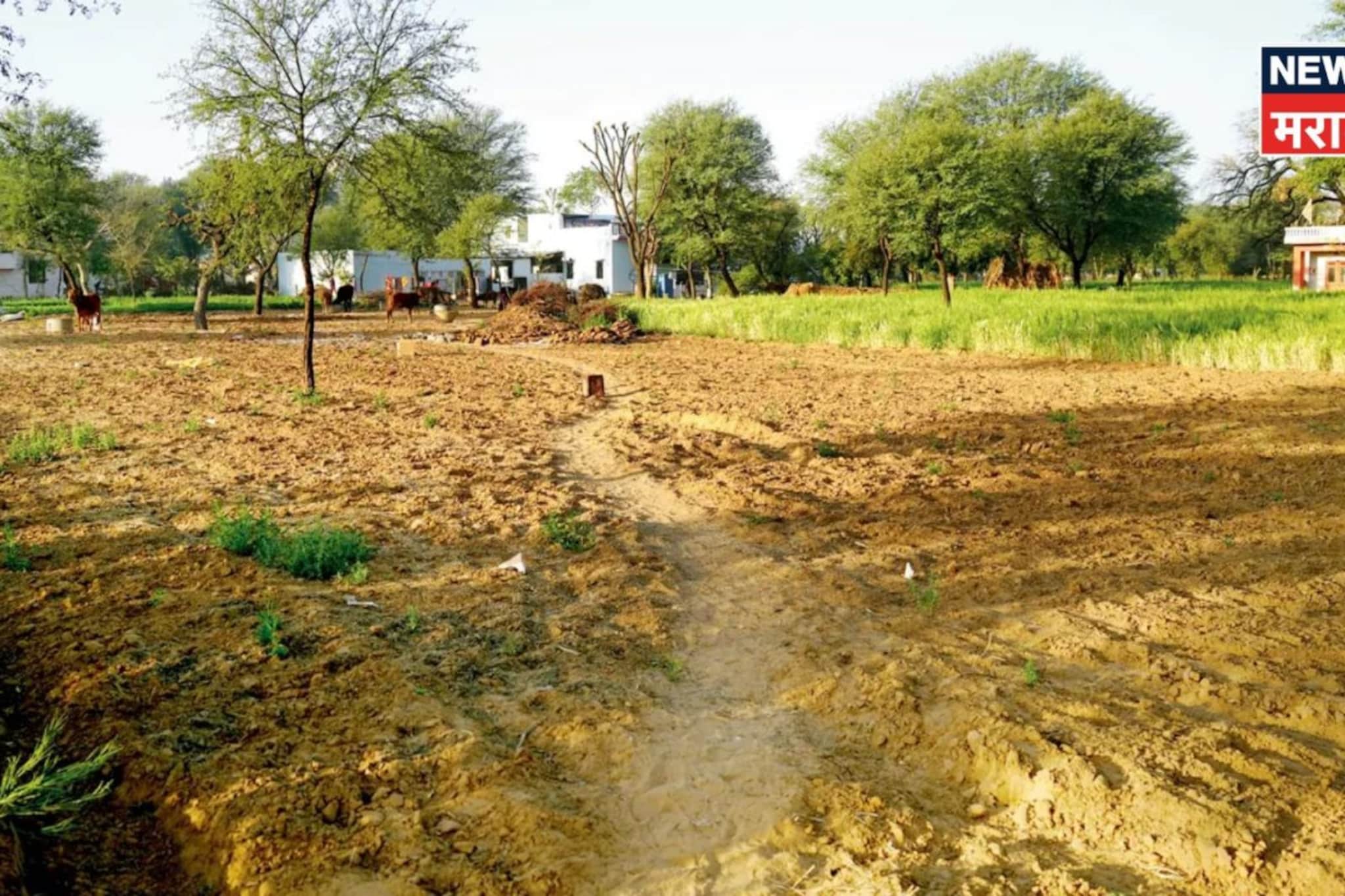 महसूल विभागाकडून मोठा दिलासा! या लोकांच्या जमिनी 'वर्ग २' मधून 'वर्ग १' होणार