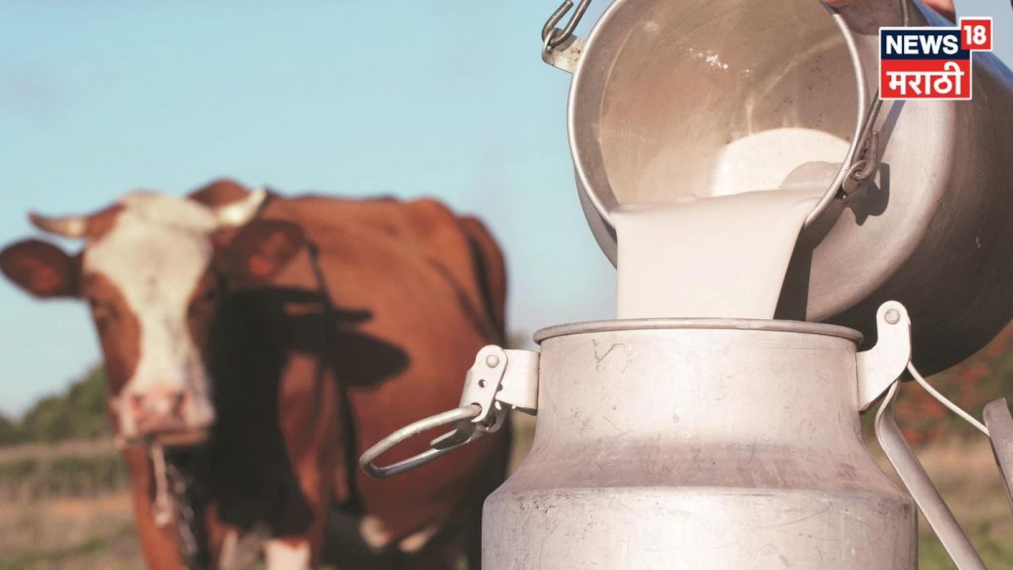 LPG तुटवड्याचा डेअरी उद्योगाला फटका, दूध बंद होणार का? व्यवसायिकांनी थेट सांगितलं LPG तुटवड्याचा डेअरी उद्योगाला फटका, दूध बंद होणार का? व्यवसायिकांनी थेट सांगितलं