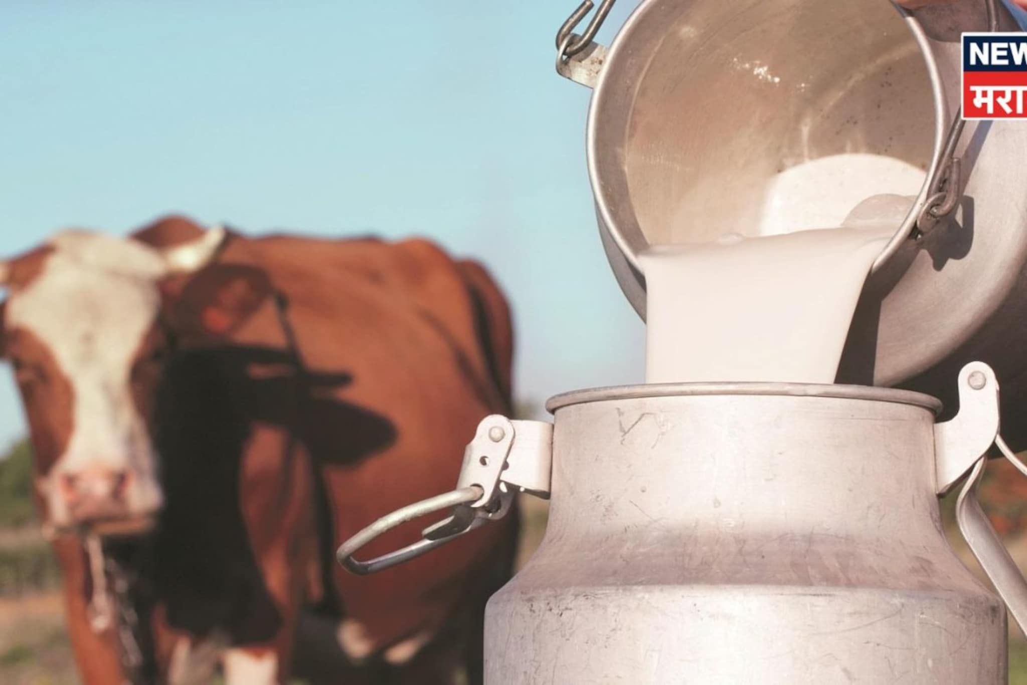 LPG तुटवड्याचा डेअरी उद्योगाला फटका, दूध बंद होणार का? व्यवसायिकांनी थेट सांगितलं